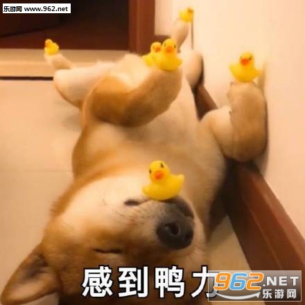 ���ʱ����ͼƬ��ͼ1