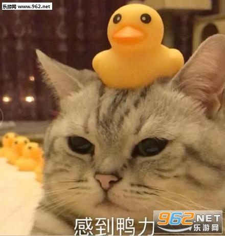 ���ʱ����ͼƬ��ͼ6