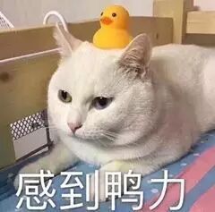 ���ʱ����ͼƬ��ͼ5
