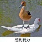���ʱ����ͼƬ��ͼ7
