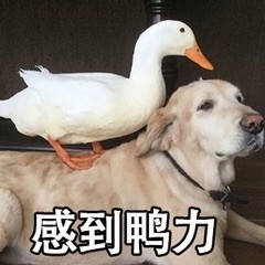 ���ʱ����ͼƬ��ͼ8