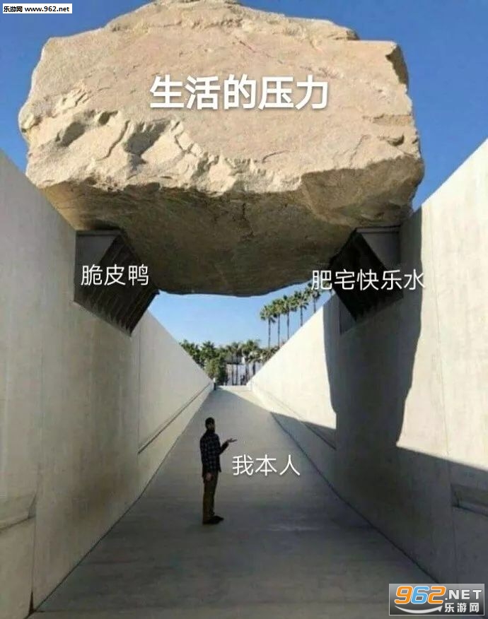 你是鲨雕吗表情包截图1