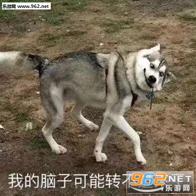 你是鲨雕吗表情包截图2
