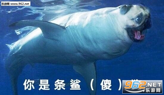 �ҵ���Ѽ�������ͼ0