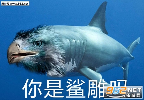 �ҵ���Ѽ�������ͼ3