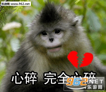 我这一jio下去你可能会死猴子表情包截图1