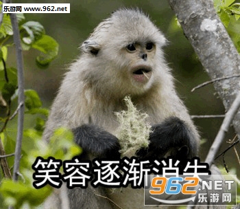 我这一jio下去你可能会死猴子表情包截图3
