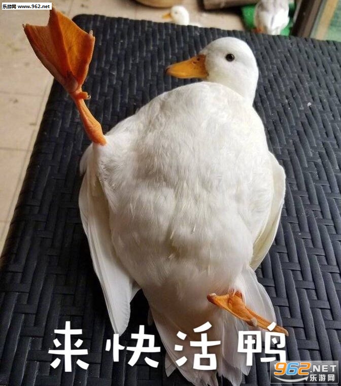 �����Ѽϲ����Ѽ���ѹ�Ѽ�������ͼ8