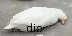 �����Ѽϲ����Ѽ���ѹ�Ѽ�������ͼ4