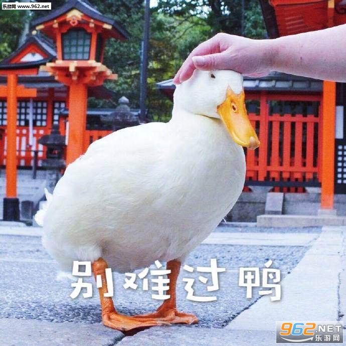 �����Ѽϲ����Ѽ���ѹ�Ѽ�������ͼ6