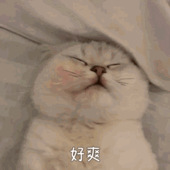 ��ש����΢΢�����������ͼ1