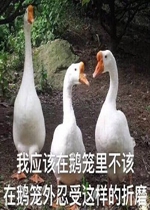 ��Ӧ���ڶ����ﲻӦ���ڶ�����������������ĥ�����