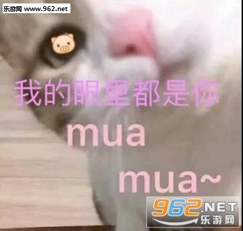 ����е�ͷè��������ͼ0