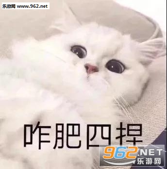 ����е�ͷè��������ͼ2