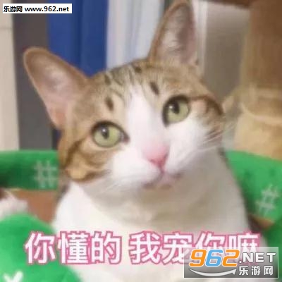����е�ͷè��������ͼ1