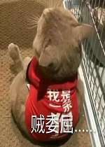 ����һ������ί�������