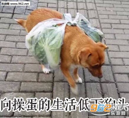û���ܰ����ұ����ͼƬ��ͼ9