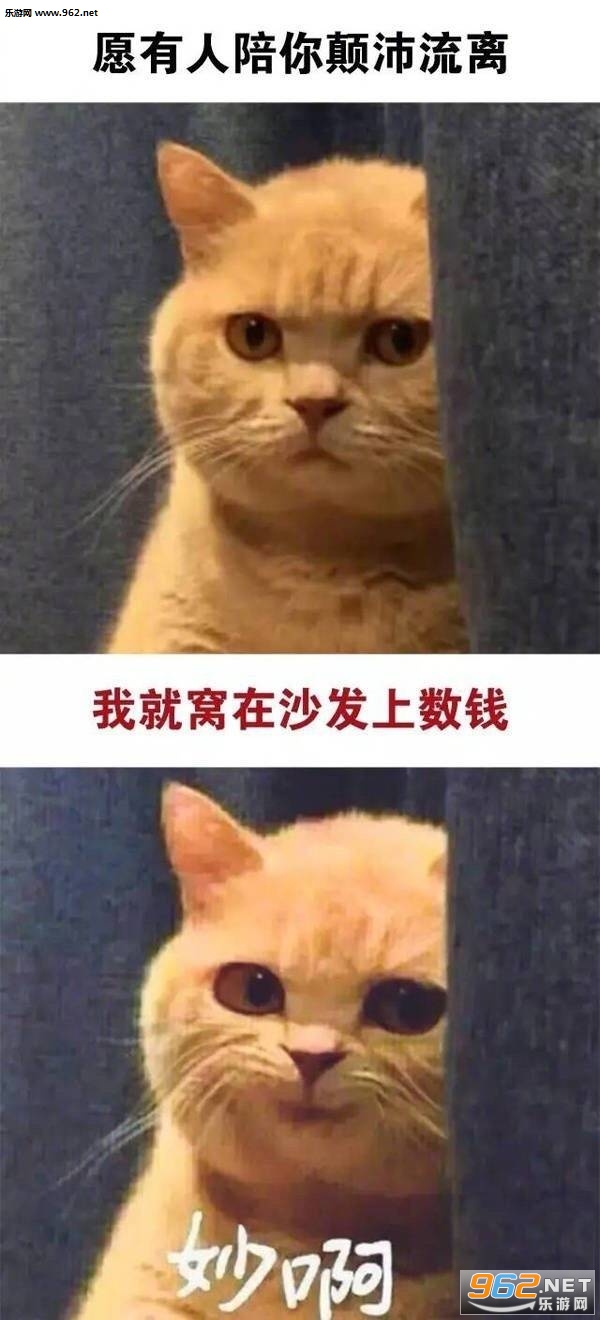�è��������ͼ0