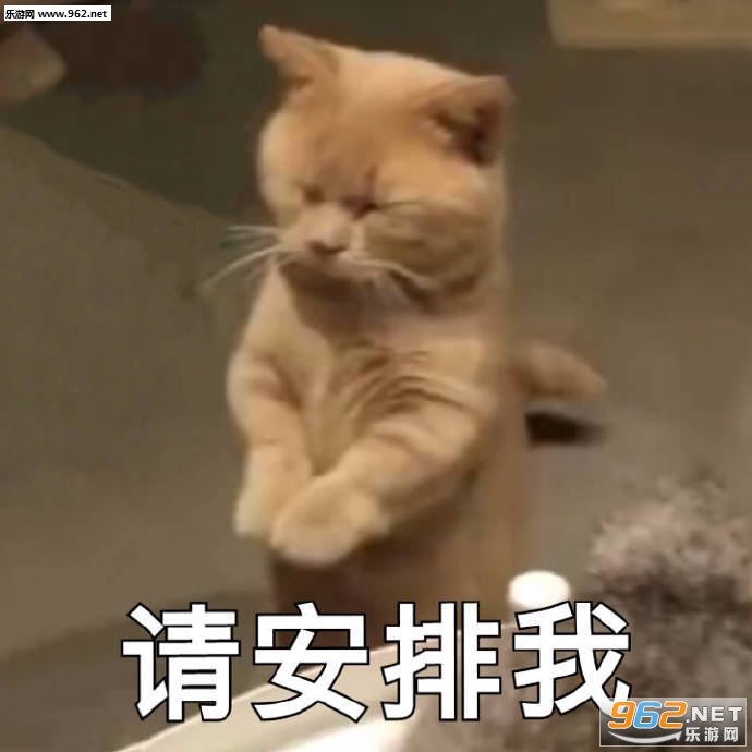 �������������뷹���ұ������ͼ6