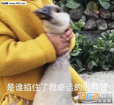 �������������뷹���ұ������ͼ8