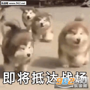 ������ȡ�㹷�����ӱ������ͼ0