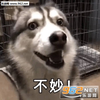 ������ȡ�㹷�����ӱ������ͼ1