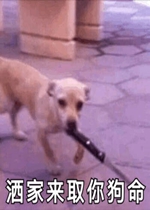 ������ȡ�㹷�����ӱ����