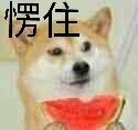 ��Ȱ��������еܱܵ������ͼ2