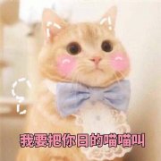 ��㴺ҩһ��ɧ�������ͼ5