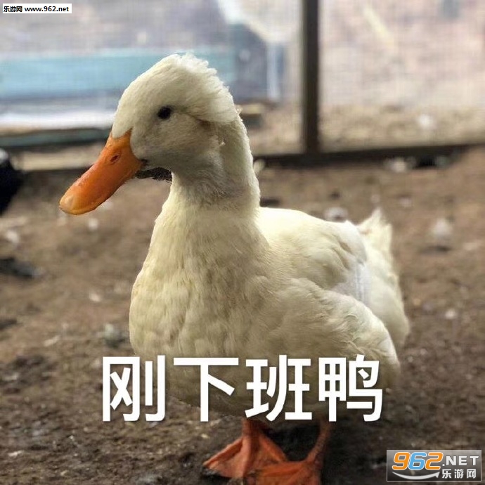 ��ѼҪ����Ѽ����Ѽ���������ͼƬ��ͼ12