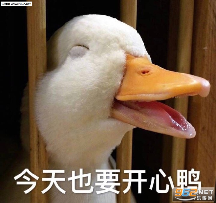 ��ѼҪ����Ѽ����Ѽ���������ͼƬ��ͼ14