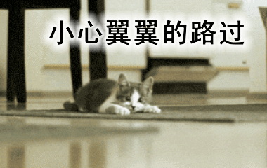 Ʈ��ͼƬ�������ͼ6