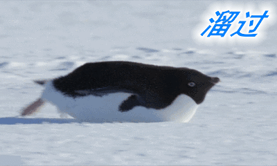 Ʈ��ͼƬ�������ͼ3