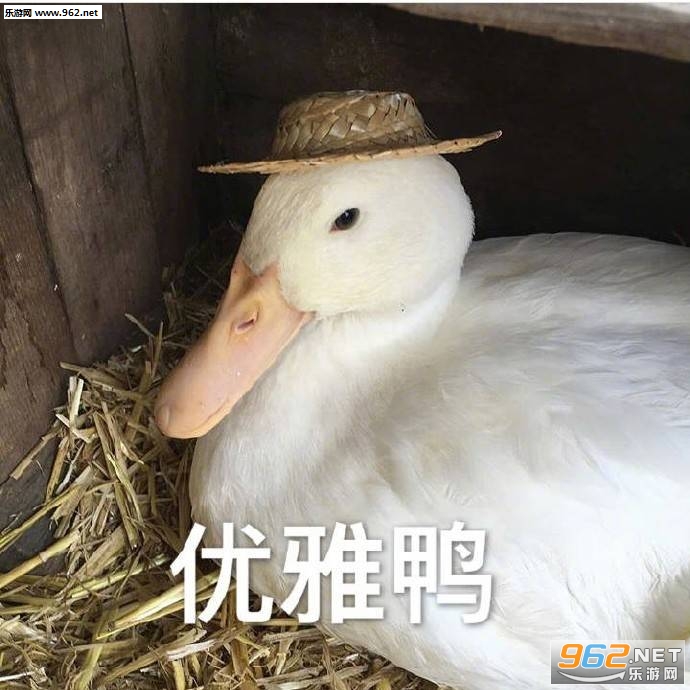 ����ҲҪ����ѼѼ�ӱ������ͼ0