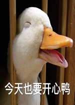 ����ҲҪ����ѼѼ�ӱ����