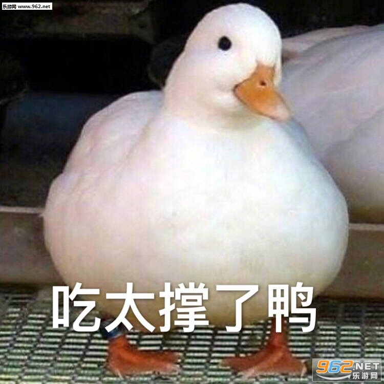 ����ʵѼ������ͼƬ��ͼ7