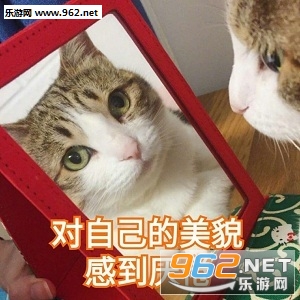 �Ҹ��㽲�Ҿ������è��������ͼ1