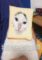 �޵Ľ�ɽҪ����è������
