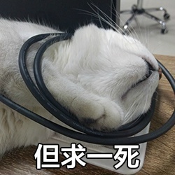 �޵Ľ�ɽҪ����è��������ͼ1