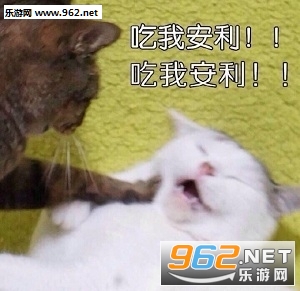 �޵Ľ�ɽҪ����è��������ͼ0