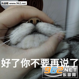 �޵Ľ�ɽҪ����è��������ͼ2