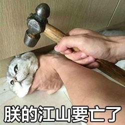 �޵Ľ�ɽҪ����è��������ͼ3