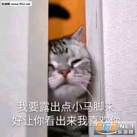���ӵİ��պ�������������ͼ0