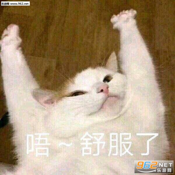 ���ӵİ��պ�������������ͼ1