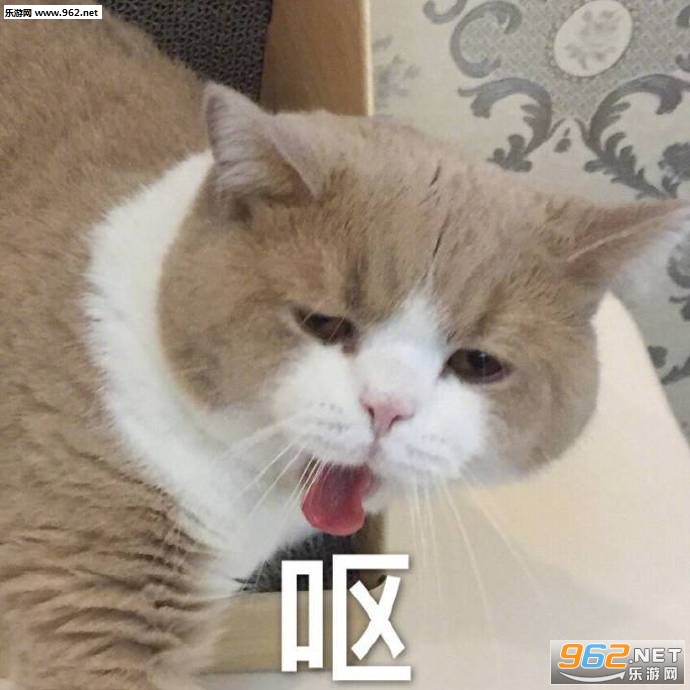 ���ӵİ��պ�������������ͼ2
