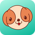 ���¹�app
