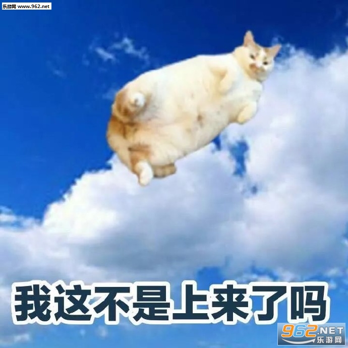 ��Һ�����ƭ�ӱ����ͼƬ��ͼ6