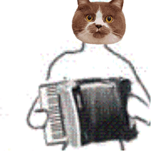 ɳ��è�������ͼ0