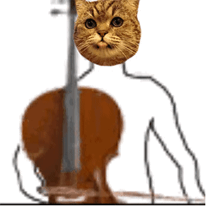 ɳ��è�������ͼ3