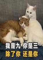 ���Ǿ������������㻹�����黰�����